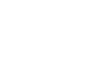 Dealer Socket